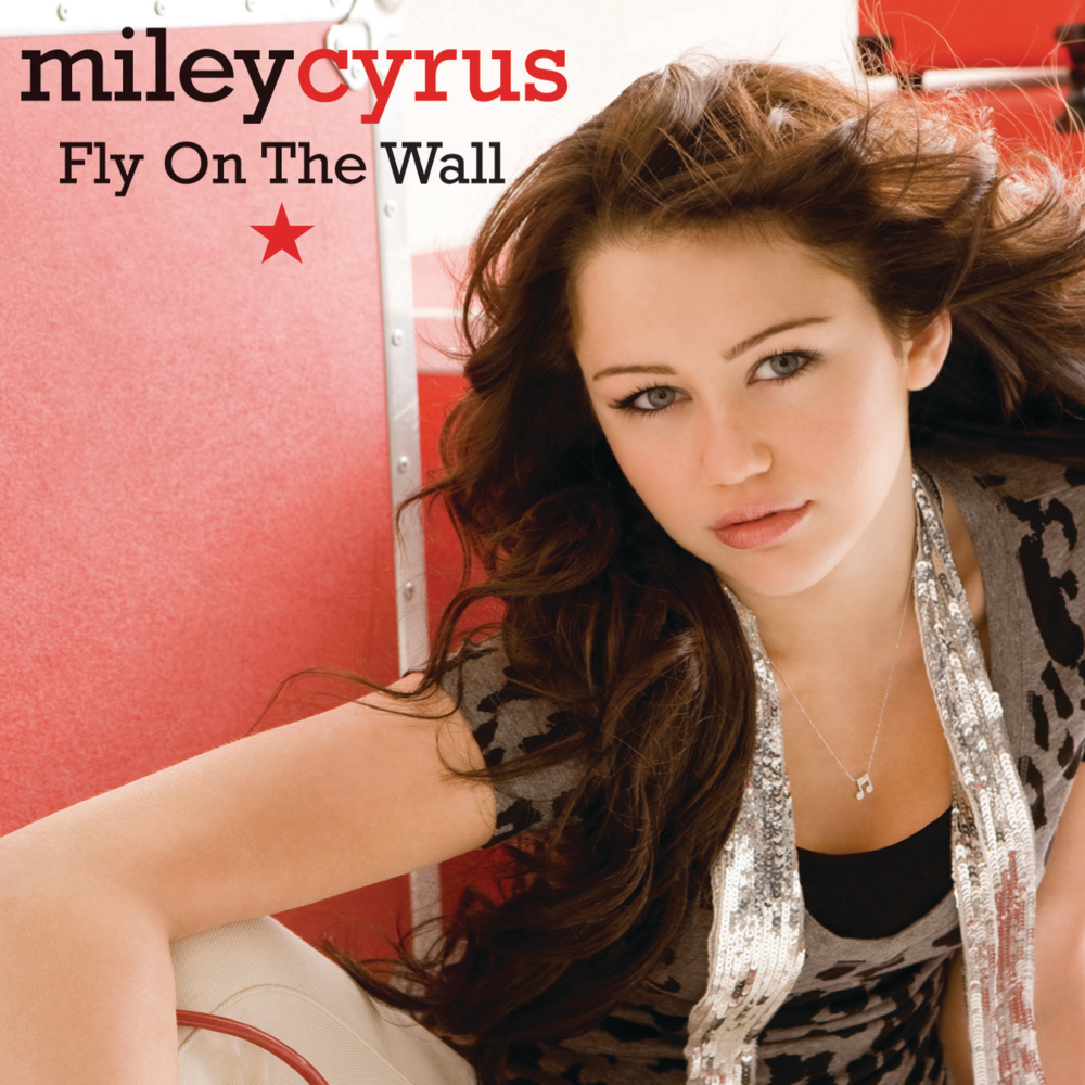 Album cover art for "Fly on the Wall" by Miley Cyrus