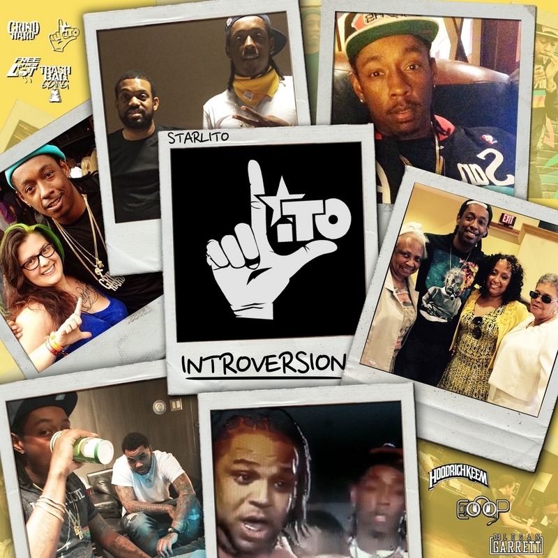 Cover image for Introversion