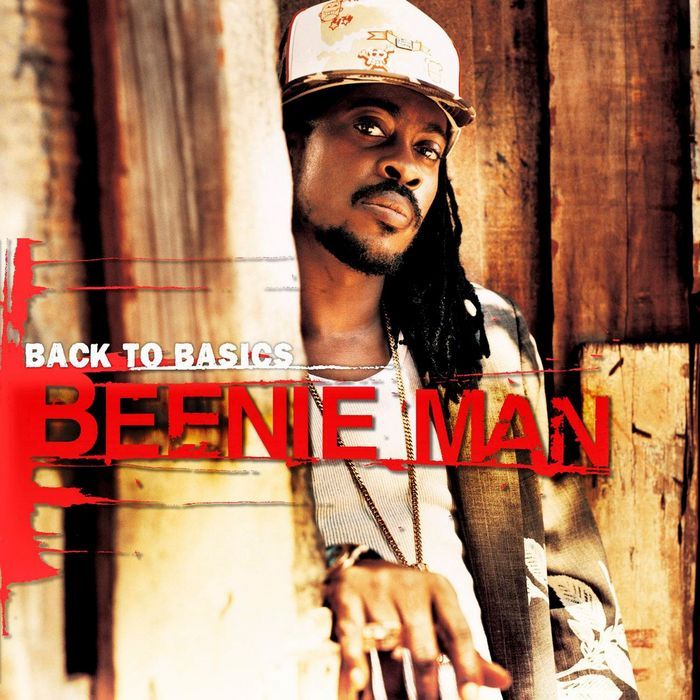 Cover image for Back to Basics