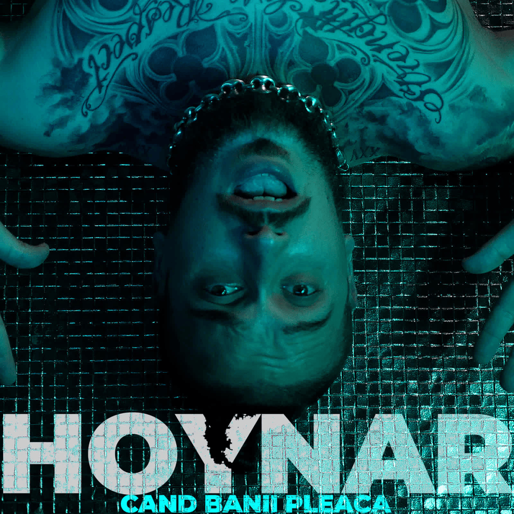 Album cover art for "C�nd banii pleac" by Hoynar