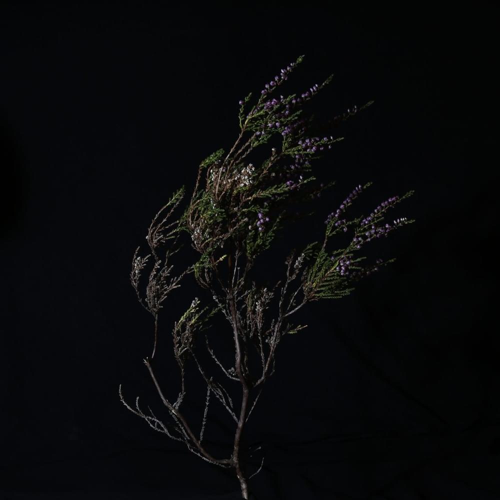Album cover art for "Beitilyng" by Jónsi
