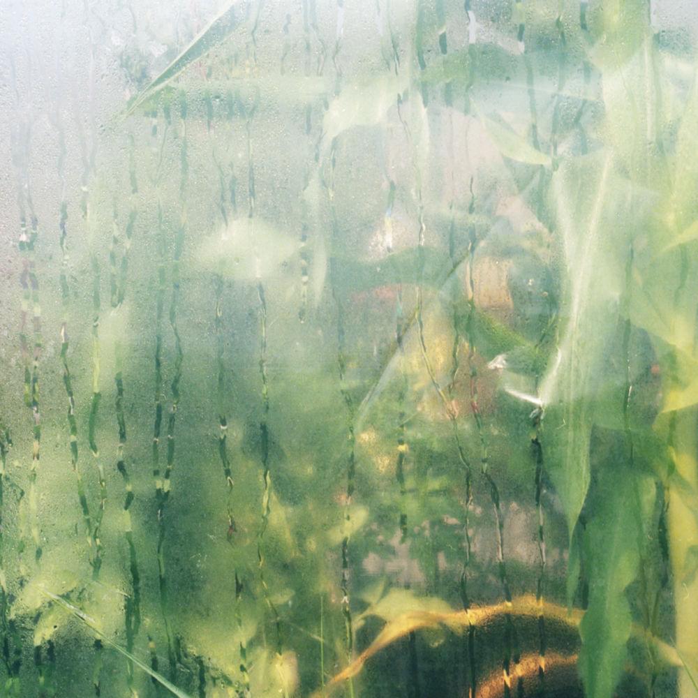 Album cover art for "All My People" by Maria Somerville