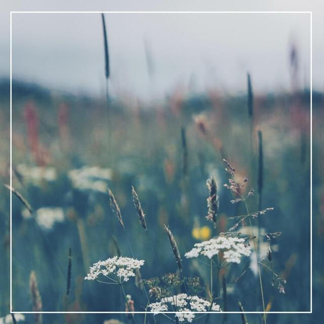 Album cover art for "It’s Hard to Be Human" by Kina Grannis