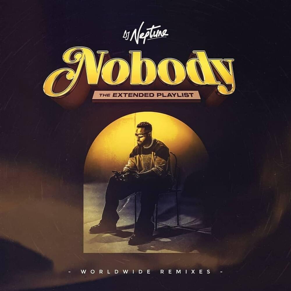 Cover image for Nobody: The Extended Playlist (Worldwide Remixes)