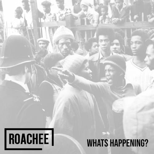 What’s Happening? by Roachee