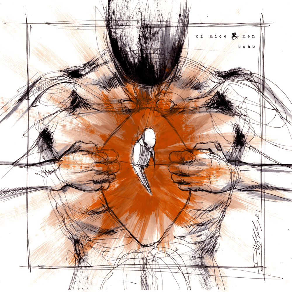Cover image for Echo