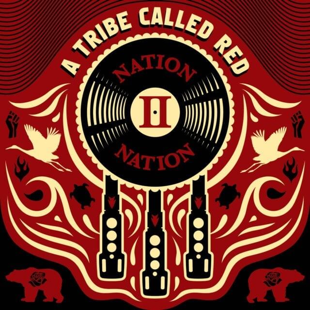 Cover image for Nation II Nation