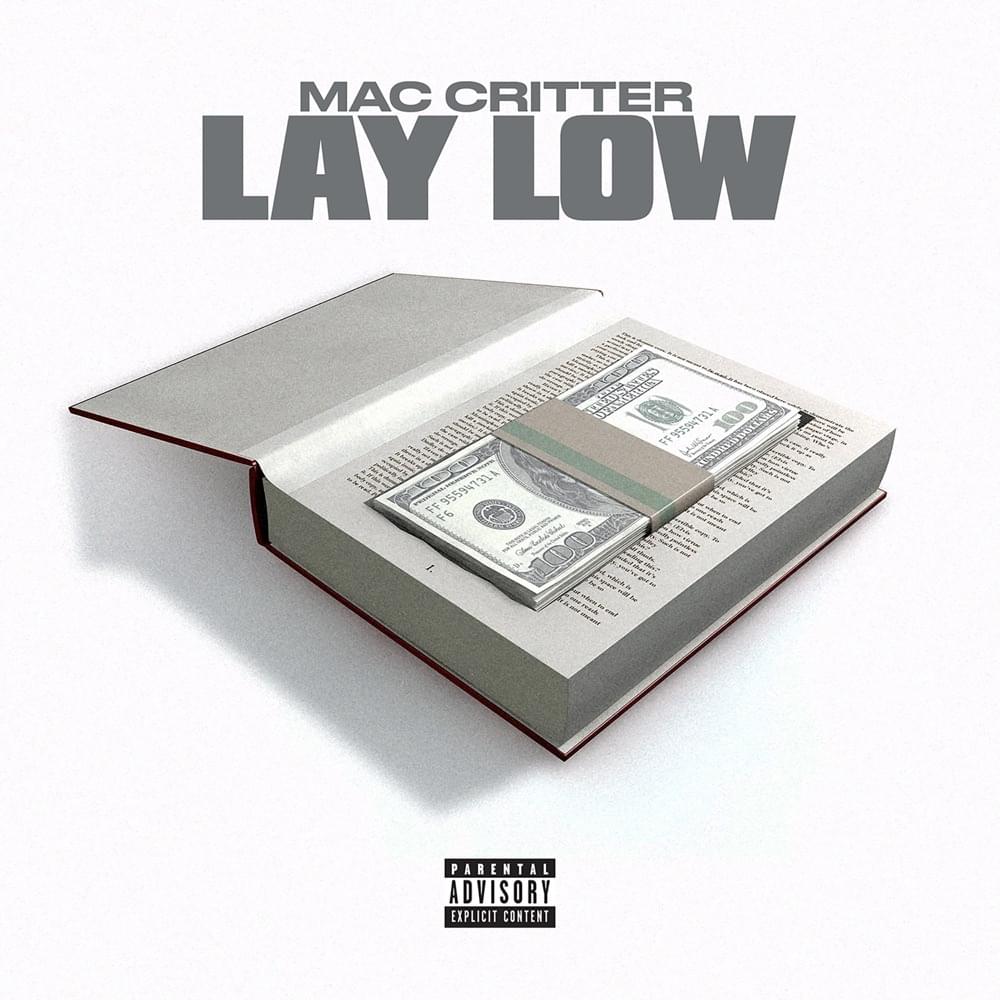 Album cover art for "Lay Low" by Mac Critter