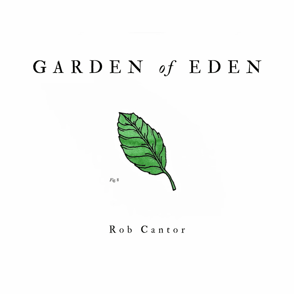 Garden of Eden by Rob Cantor