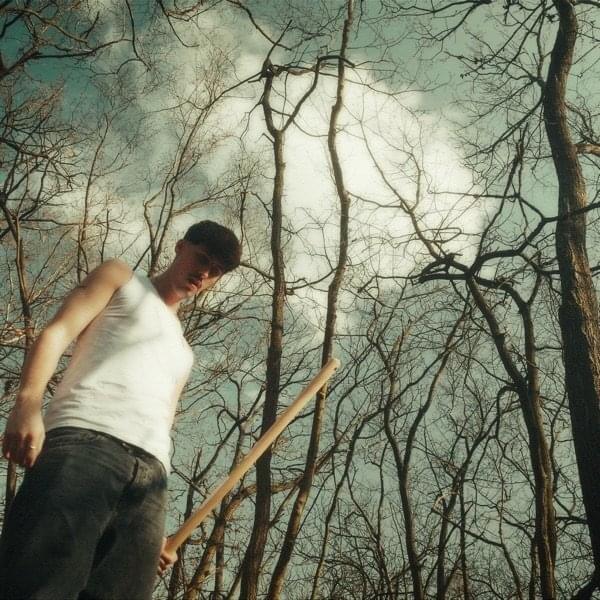 Album cover art for "Ulcère" by ​eden dillinger