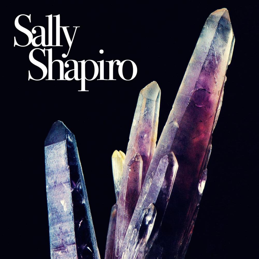 Forget About You by Sally Shapiro