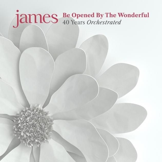 Album cover art for "She’s A Star (Orchestral Version)" by James