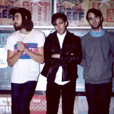 Cover image for Skaters