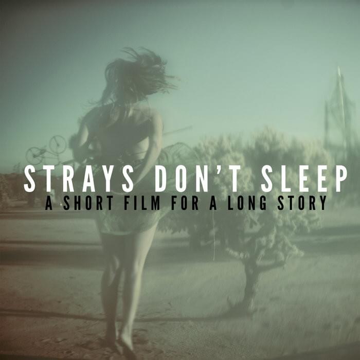 Hope Is a Love Song by Strays Don’t Sleep