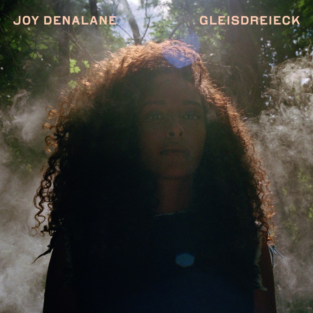 Alles leuchtet by Joy Denalane