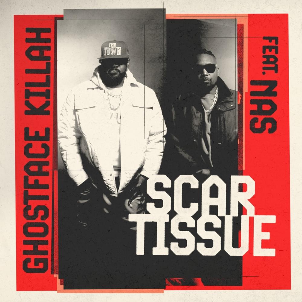 Album cover art for "Scar Tissue" by Ghostface Killah