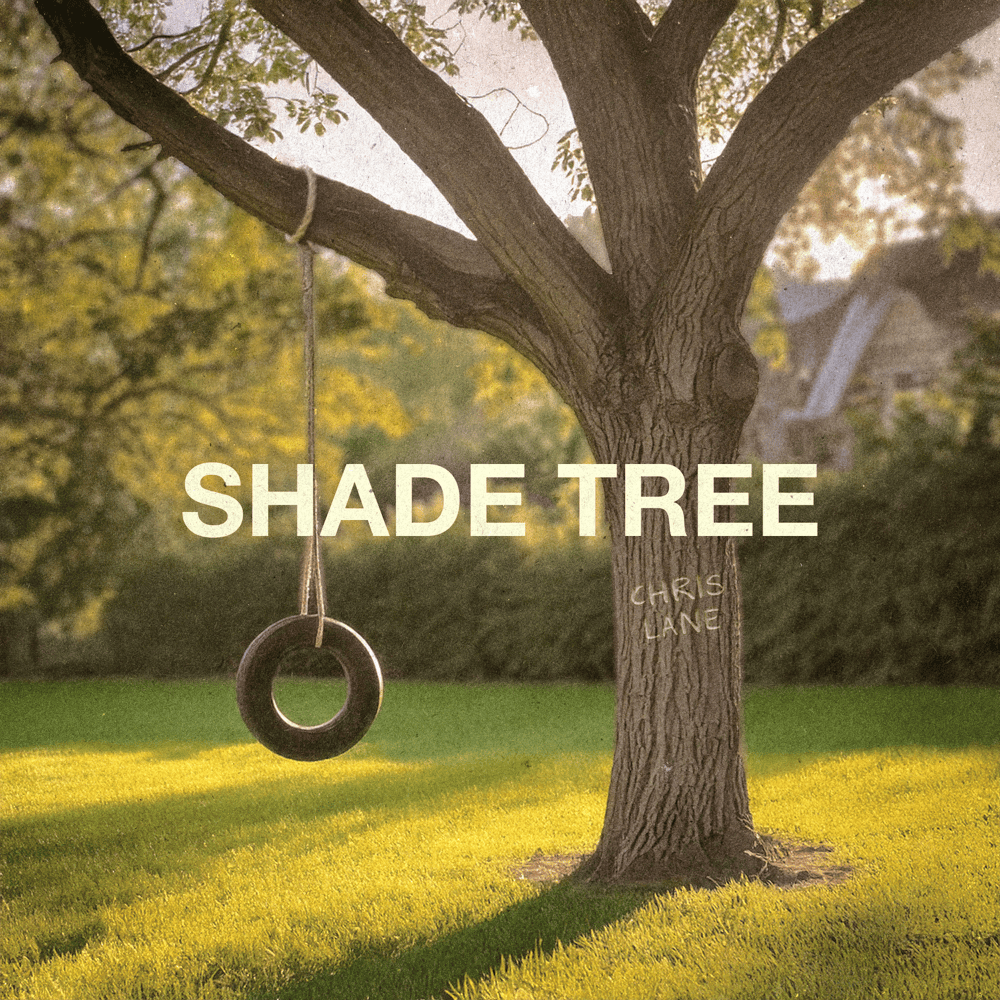 Cover image for Shade Tree