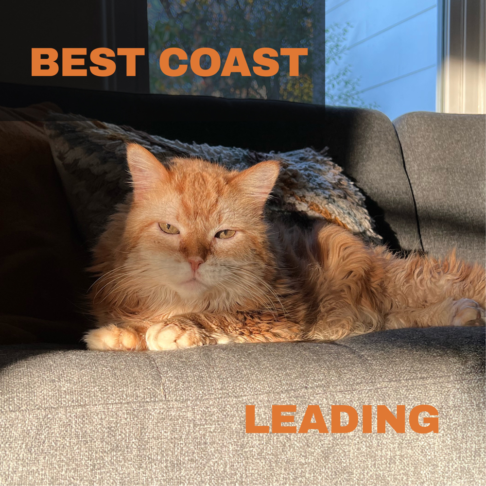 Album cover art for "Leading" by Best Coast