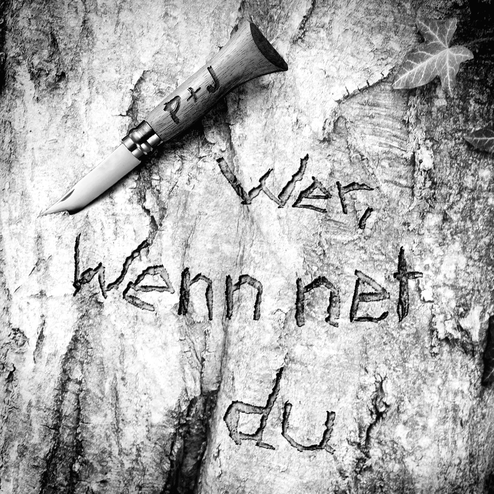 Cover image for wer, wenn net du (Single)