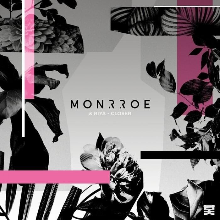 Cover image for Closer