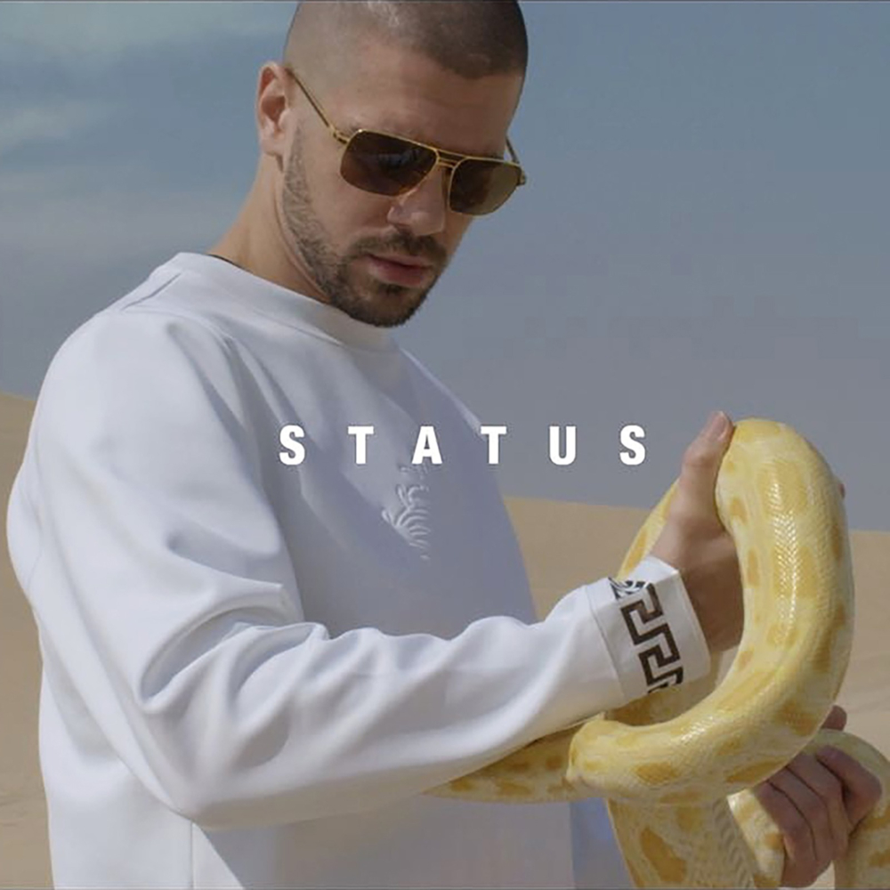 Album cover art for "Status" by Ektor