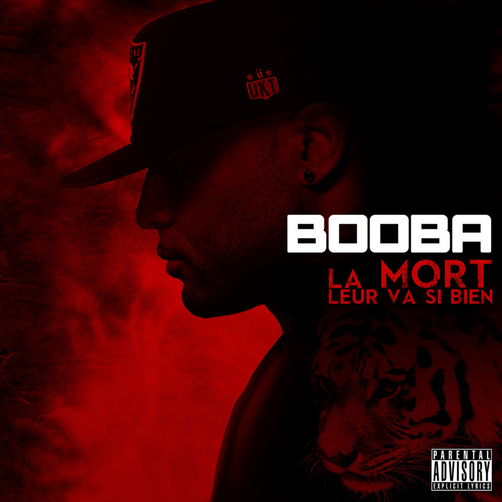 Album cover art for "La mort leur va si bien" by Booba
