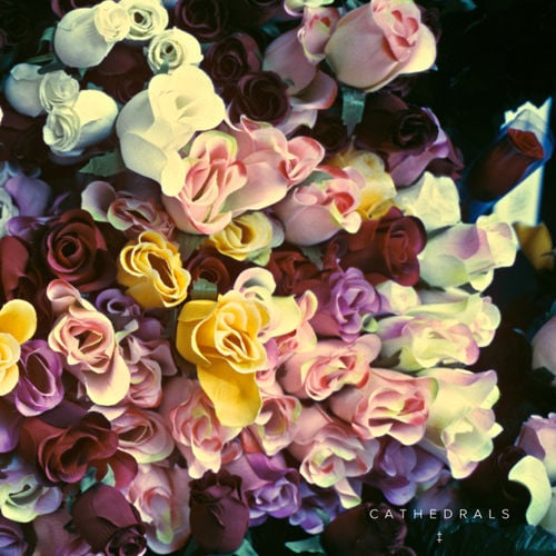 In The Dark by Cathedrals