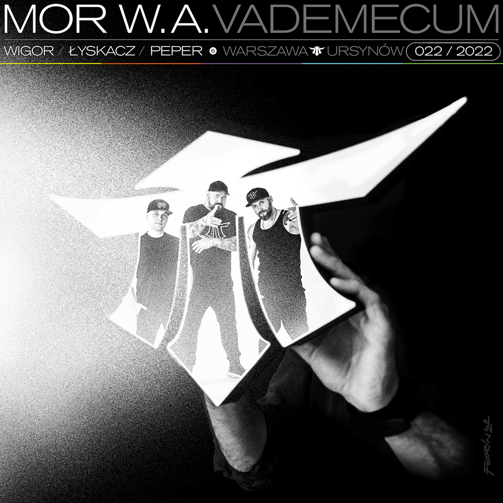 Cover image for Vademecum