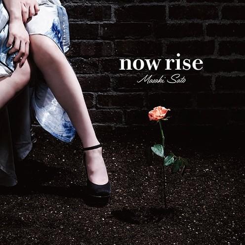 Cover image for now rise