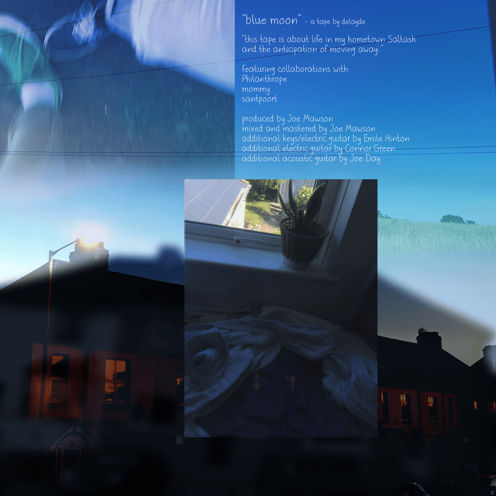 Cover image for Blue Moon