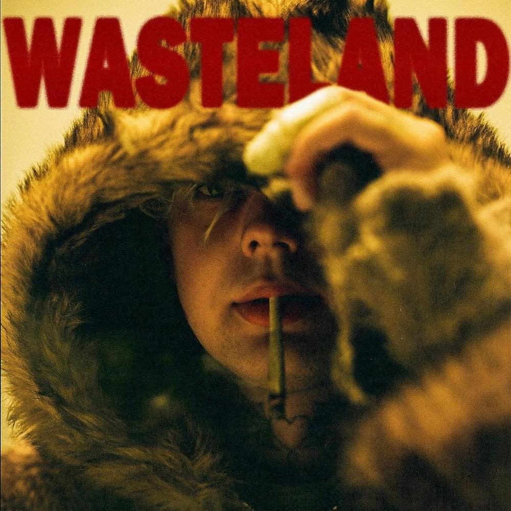 Cover image for WASTELAND