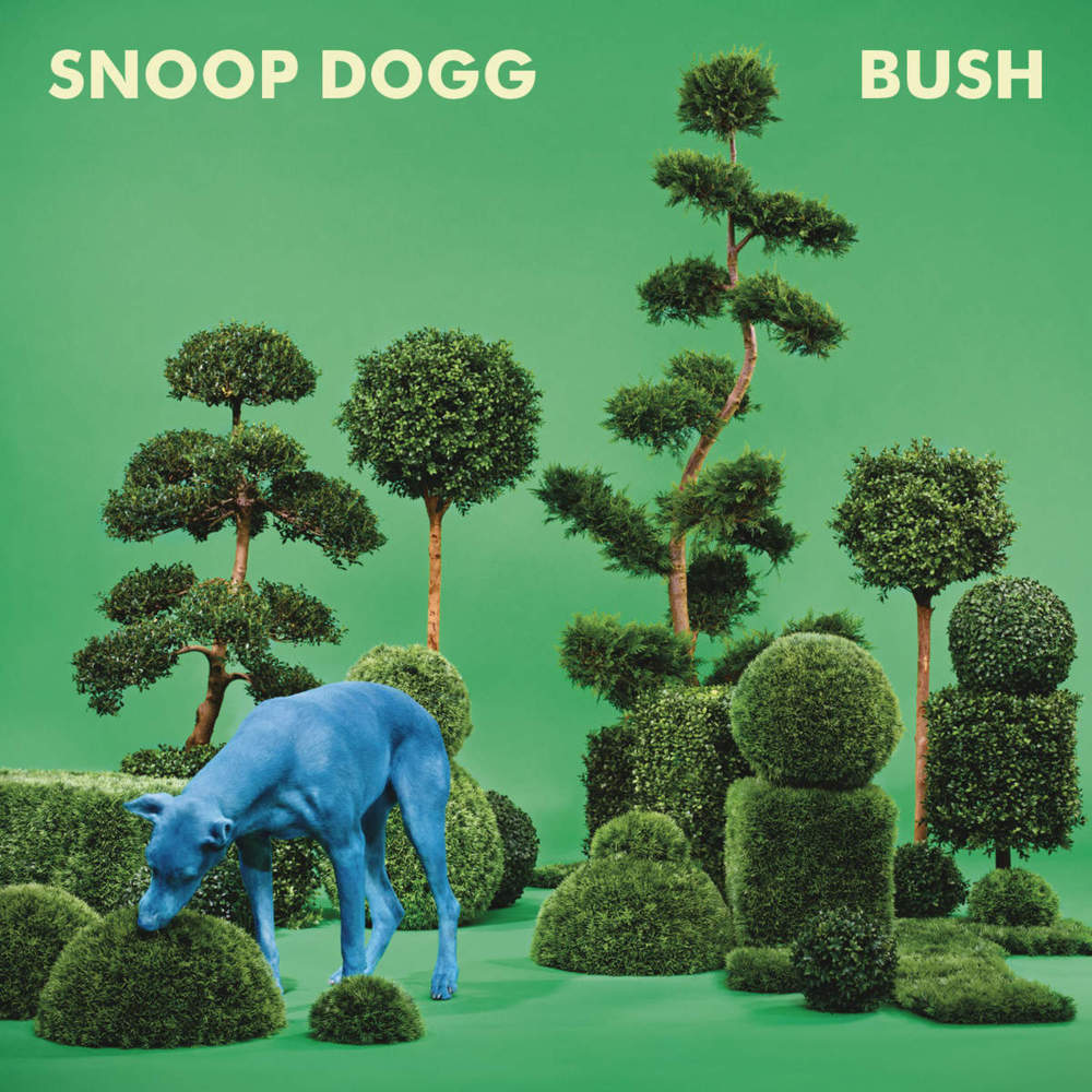 Cover image for BUSH