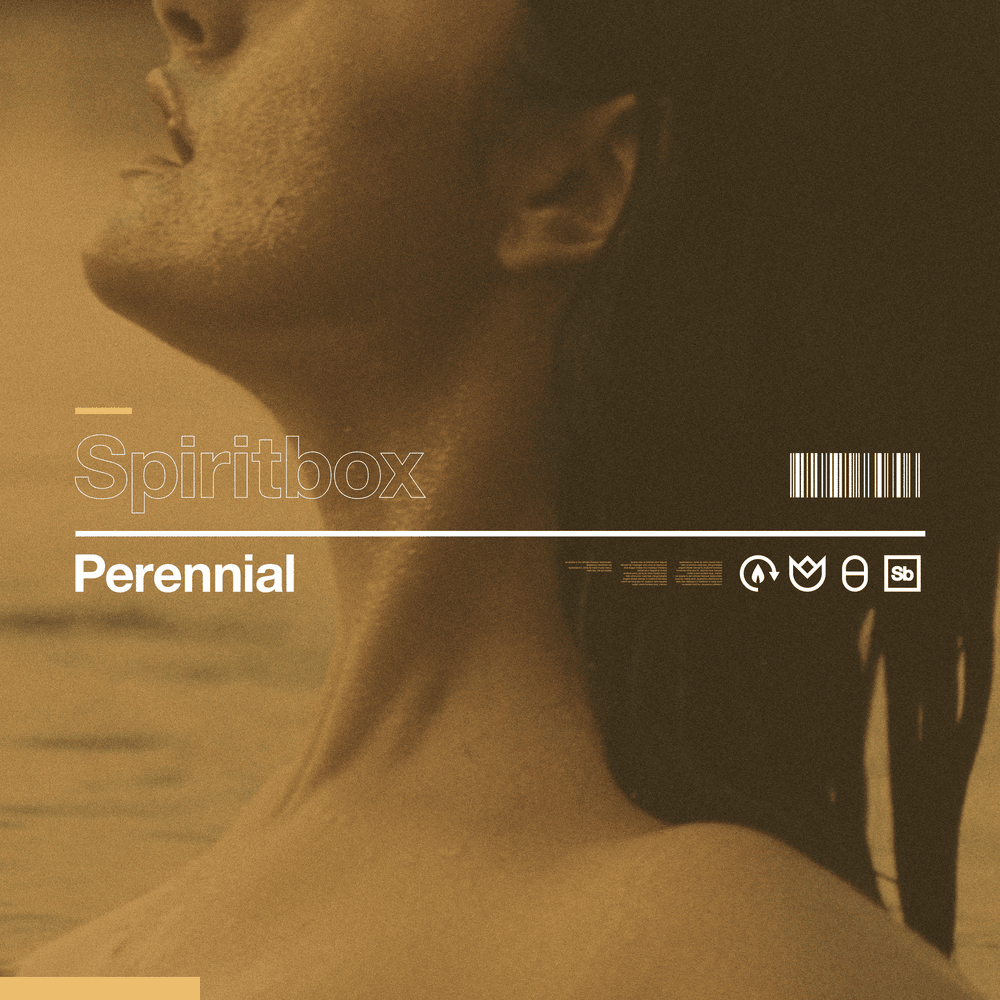 Album cover art for "Perennial" by Spiritbox