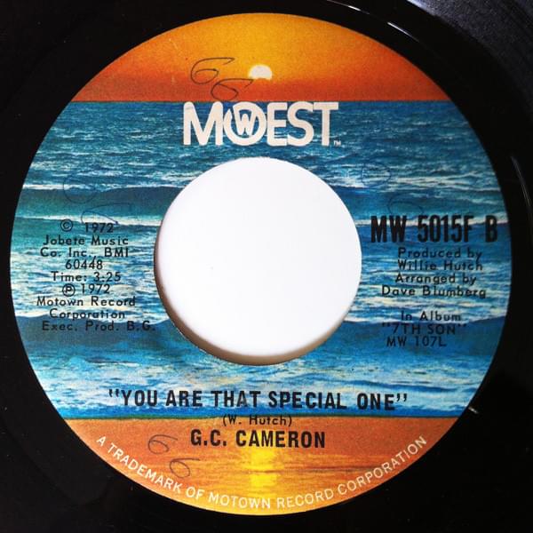 You Are That Special One by G.C. Cameron