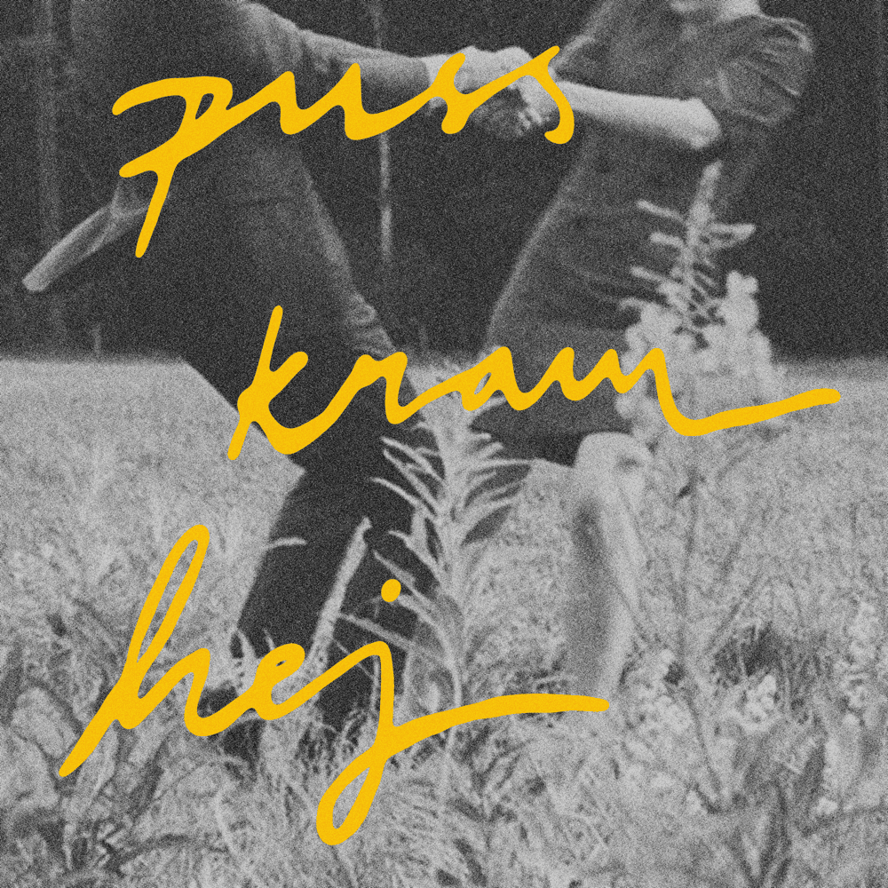 Cover image for Puss kram hej