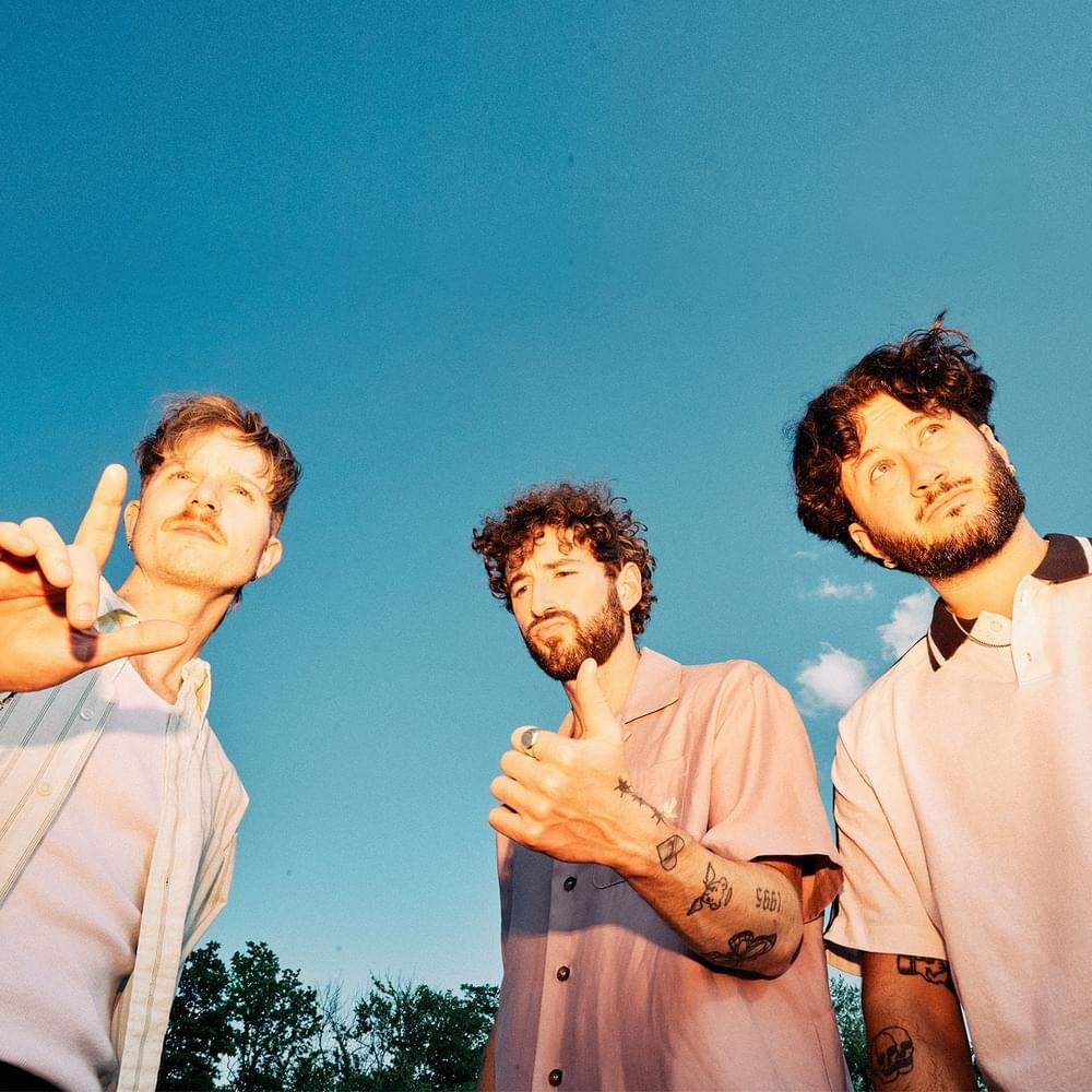 Cover image for The Band CAMINO