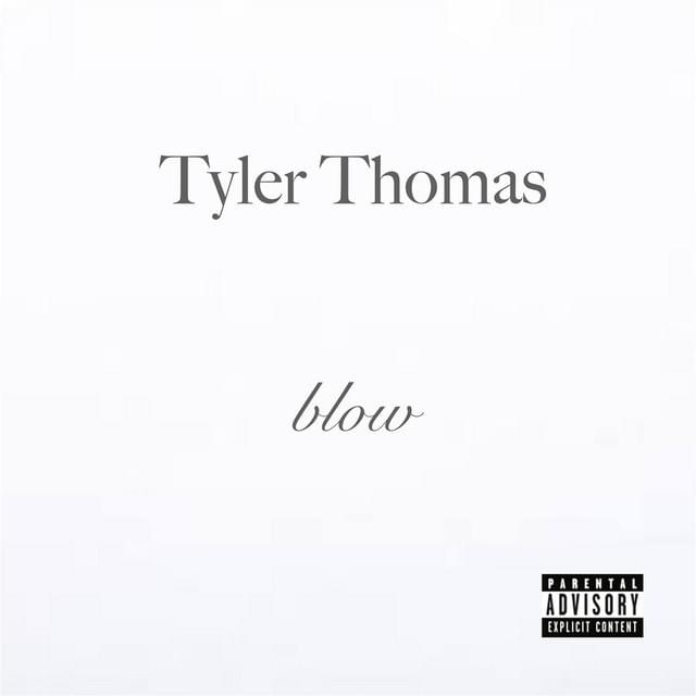 Cover image for Blow