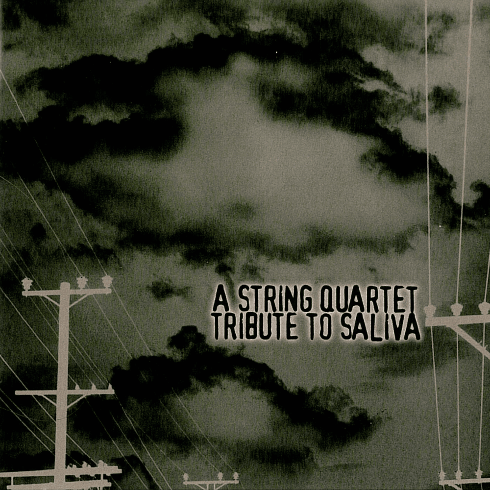 Cover image for A String Quartet Tribute to Saliva