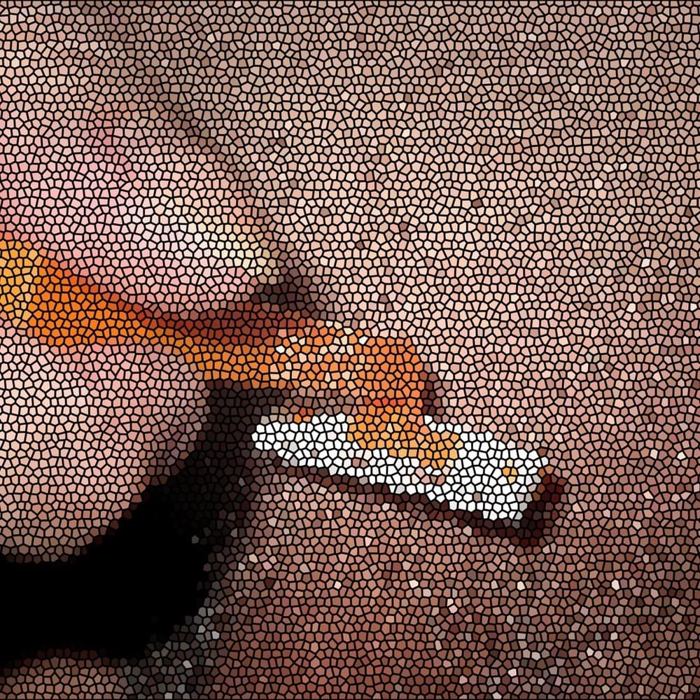 Cover image for fake hip
