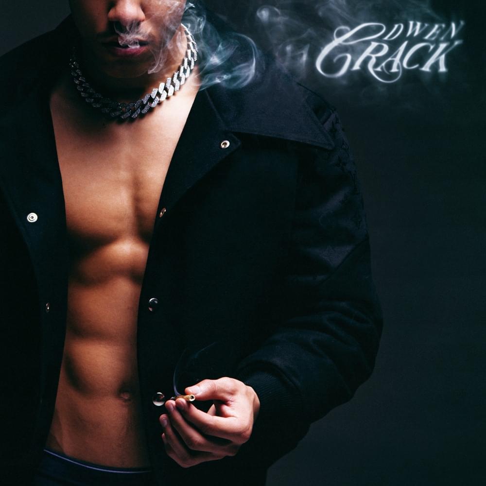 Cover image for Crack