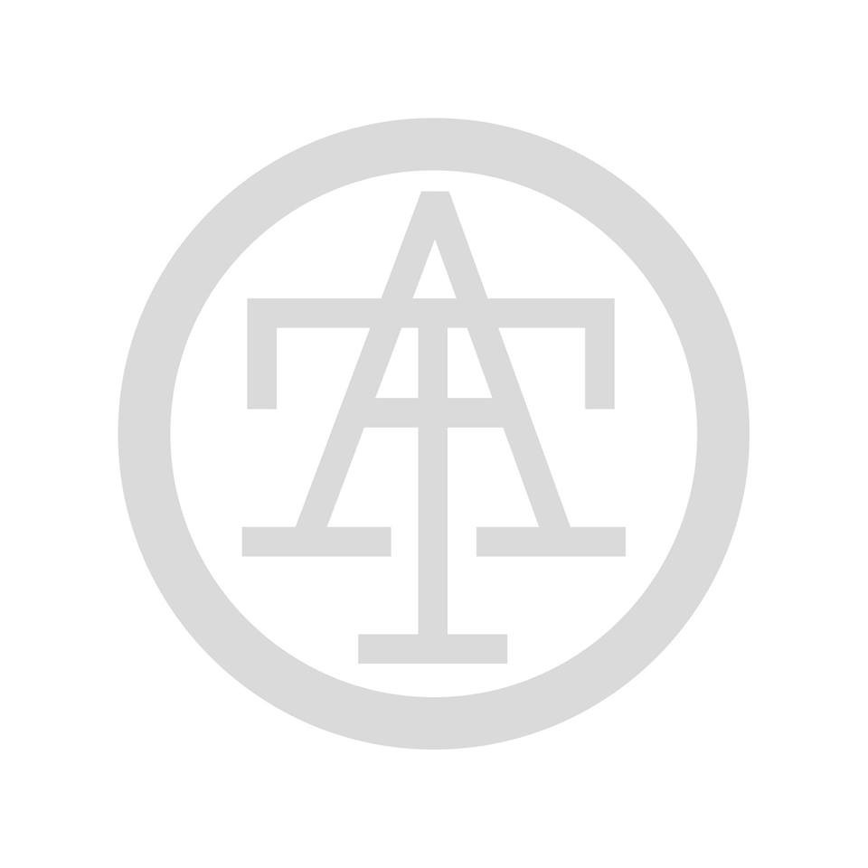 I AM THEY profile picture - official artist image