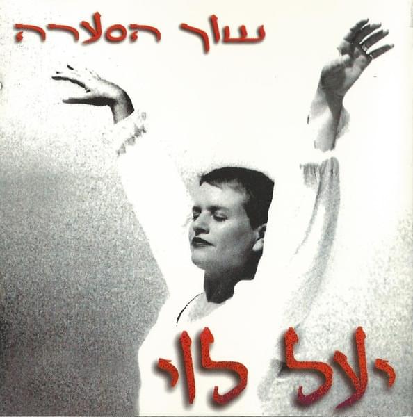 Cover image for Shuch Hase’ara - שוך הסערה