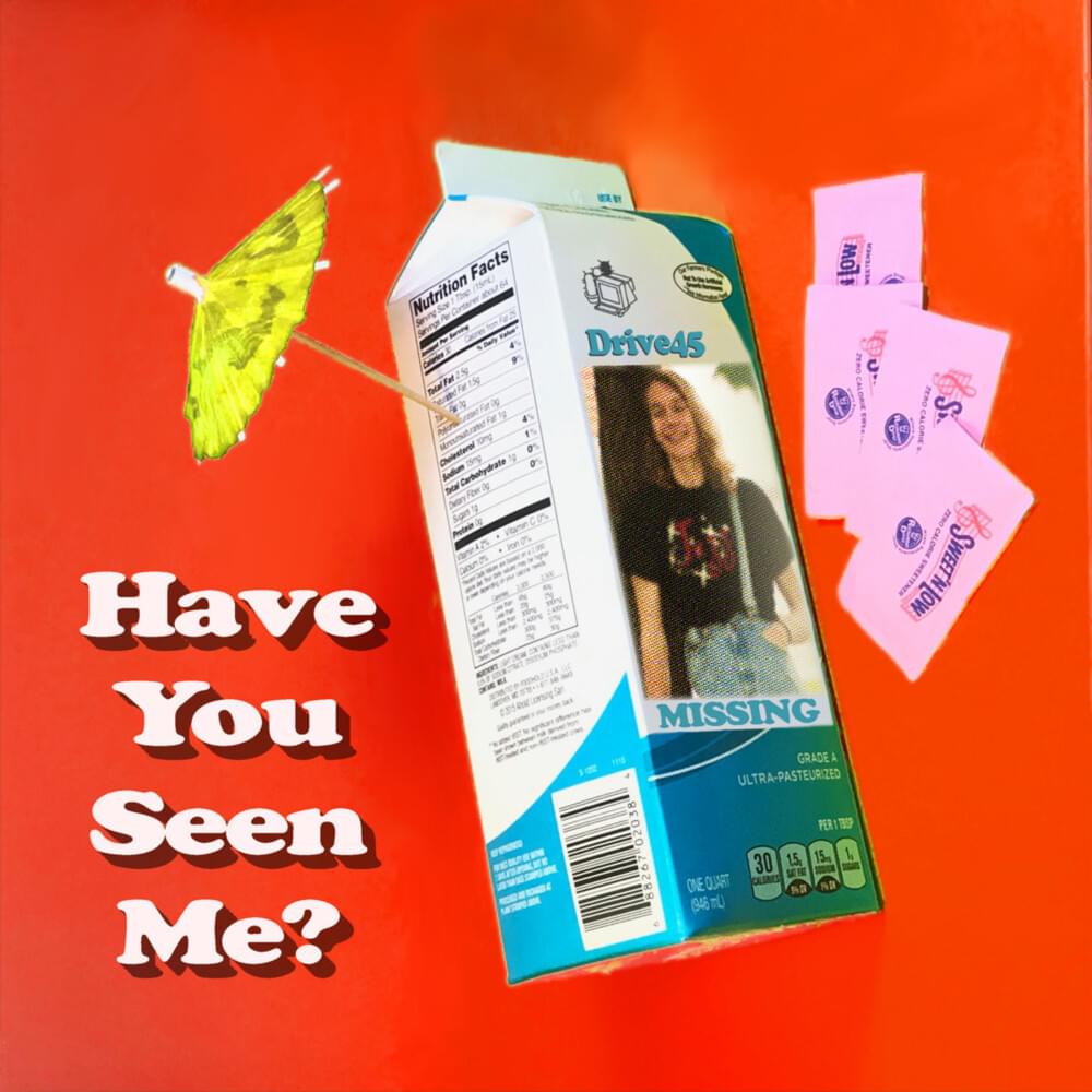 Cover image for Have You Seen Me?