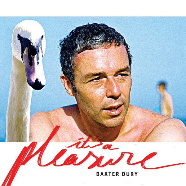Album cover art for "Police" by Baxter Dury