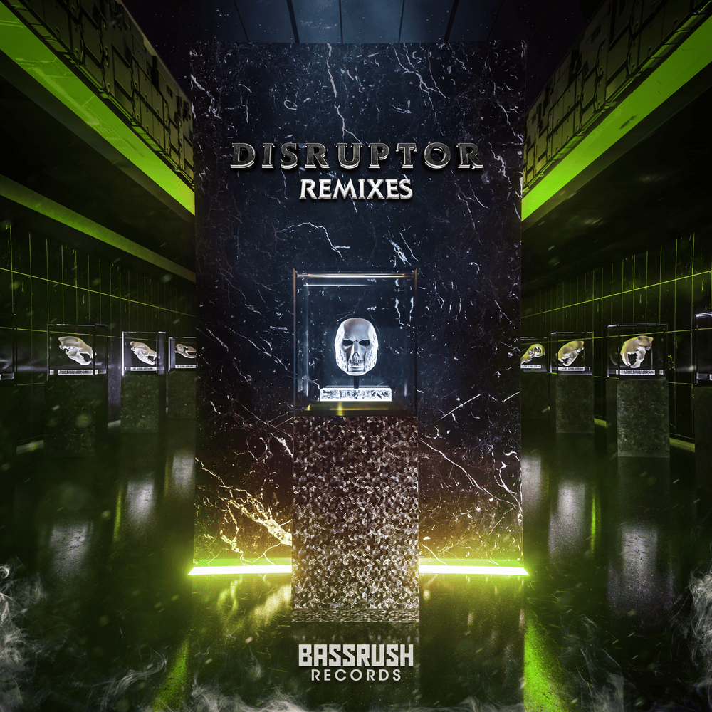 Cover image for Disruptor (Remixes)
