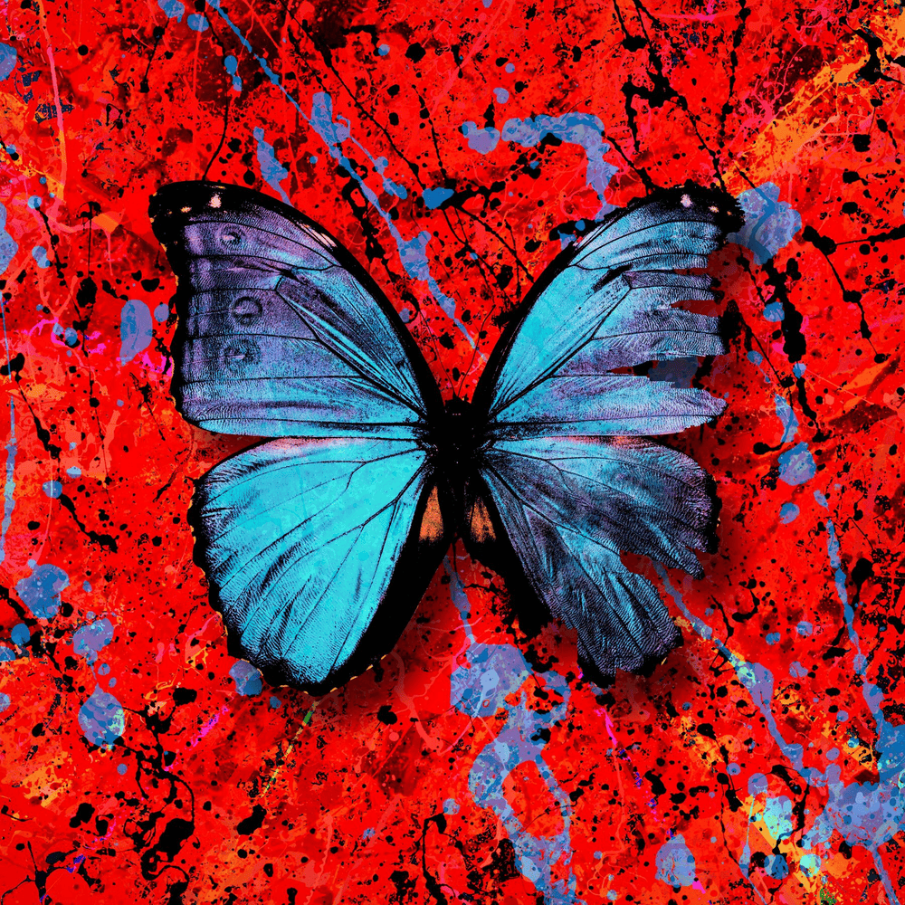 Album cover art for "Visiting Hours" by Ed Sheeran