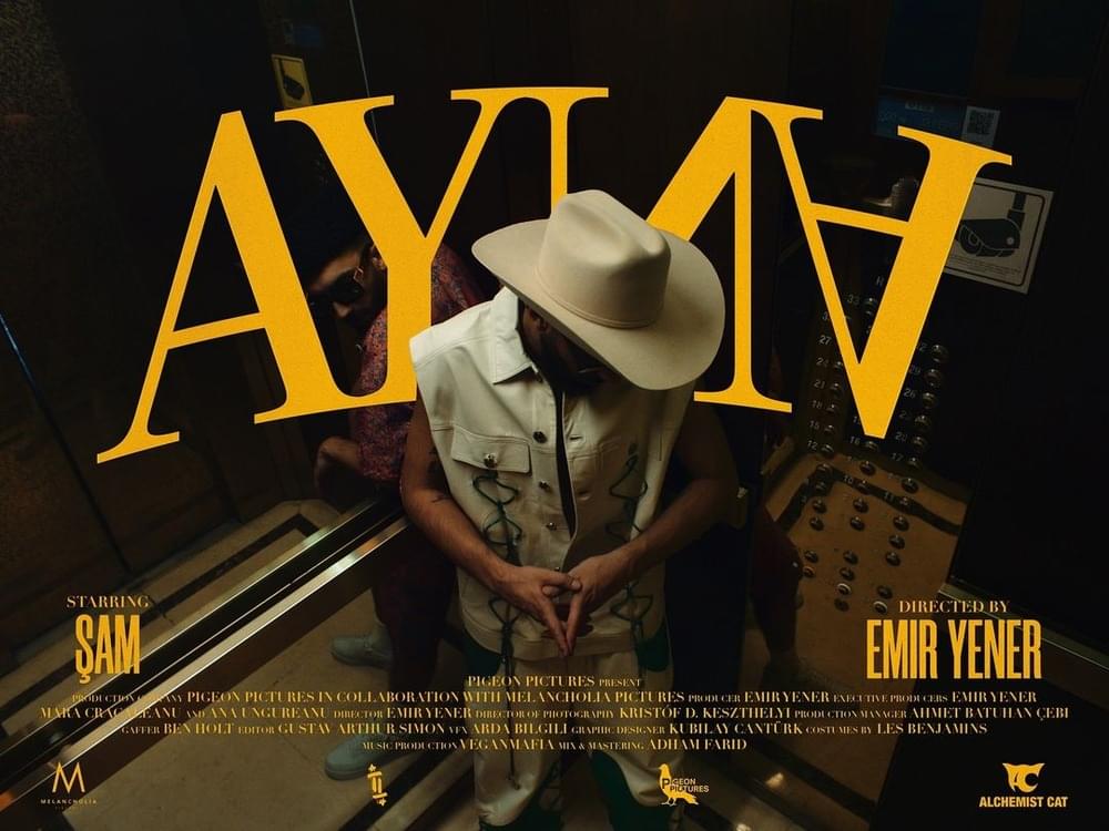 Album cover art for "AYNA" by Şam