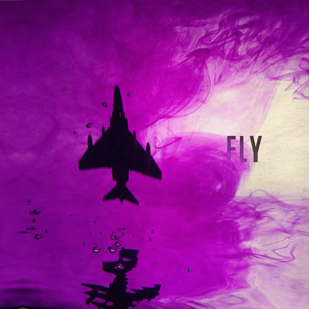 Album cover art for "Fly" by B-Free (비프리) & Sway D (스웨이디) & Loco (로꼬)