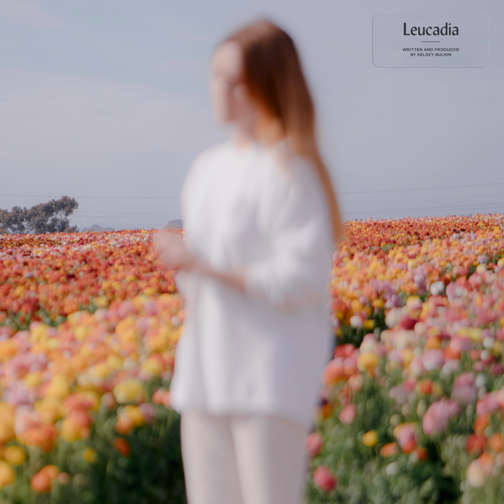 Cover image for Leucadia