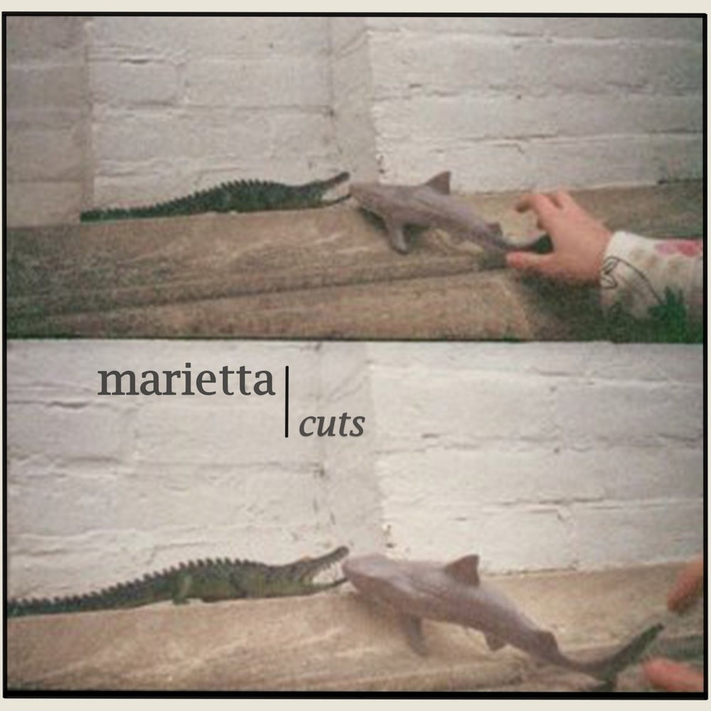 Cover image for Cuts